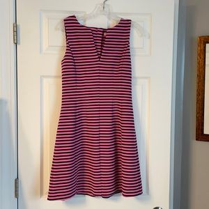 Lilly Beautiful navy & pink striped A line dress